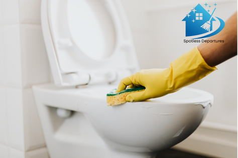 Clean toilet area